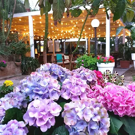 מלון Giardino 2*